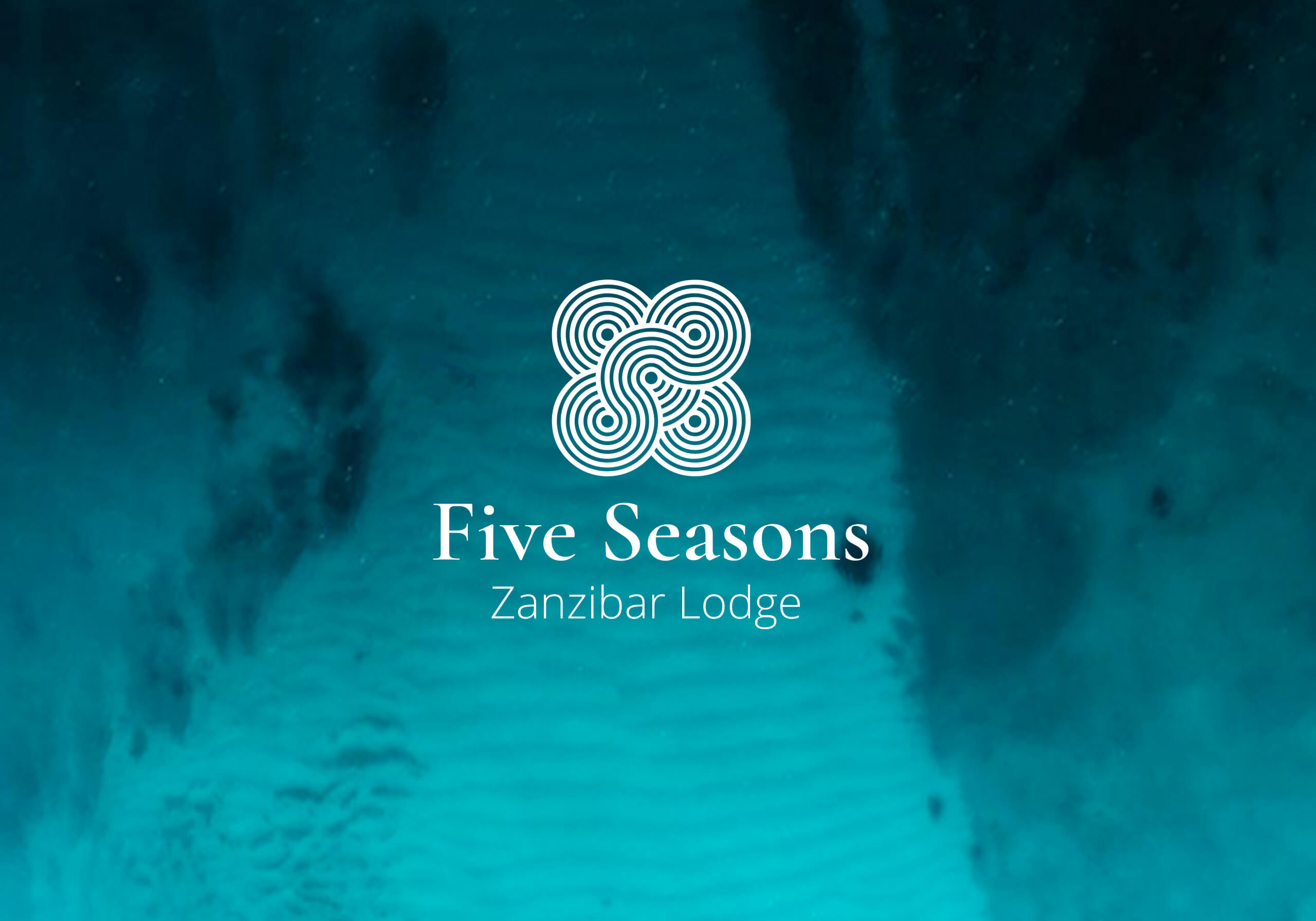 Component 31